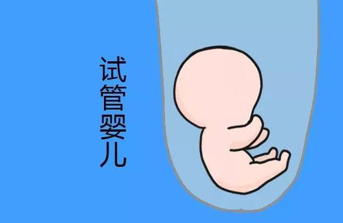 陈医生
